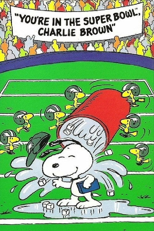 You're in the Super Bowl, Charlie Brown! постер