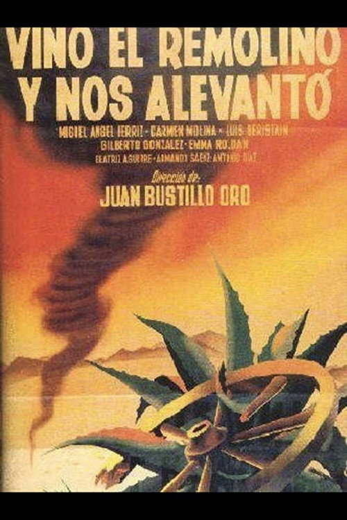 Vino el remolino y nos alevantó постер