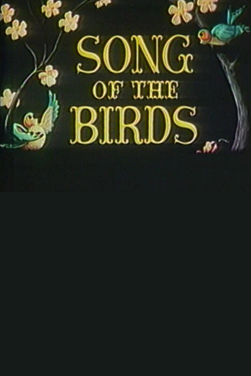 Song of the Birds постер