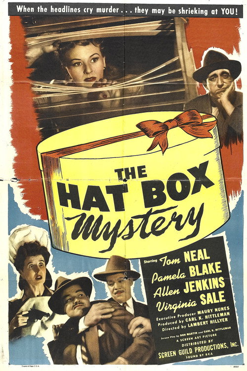 The Hat Box Mystery постер