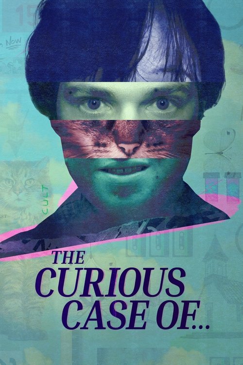 The Curious Case of... постер