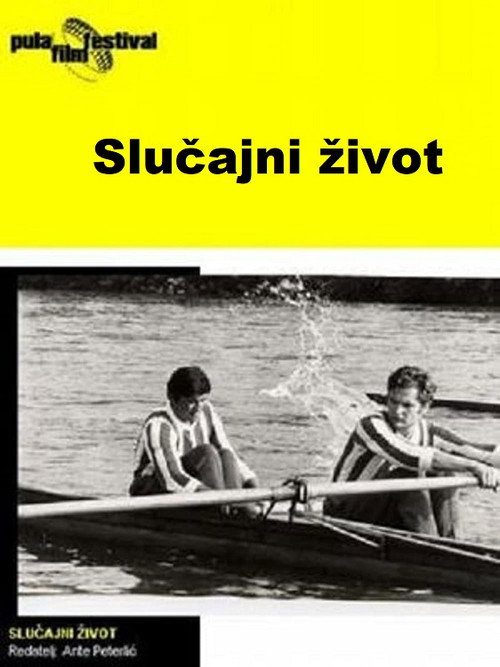 Slučajni život постер