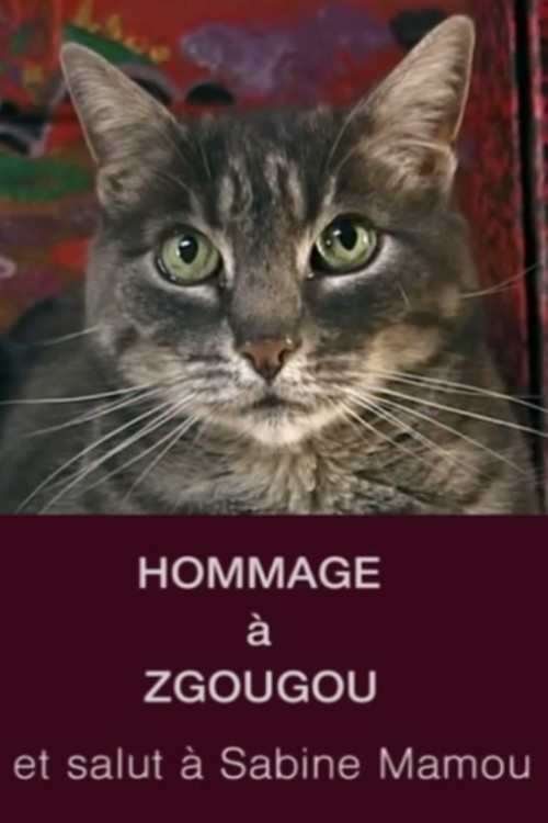 Tribute to Zgougou the Cat постер