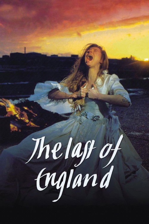 The Last of England постер