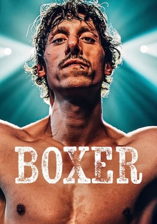 Boxer постер