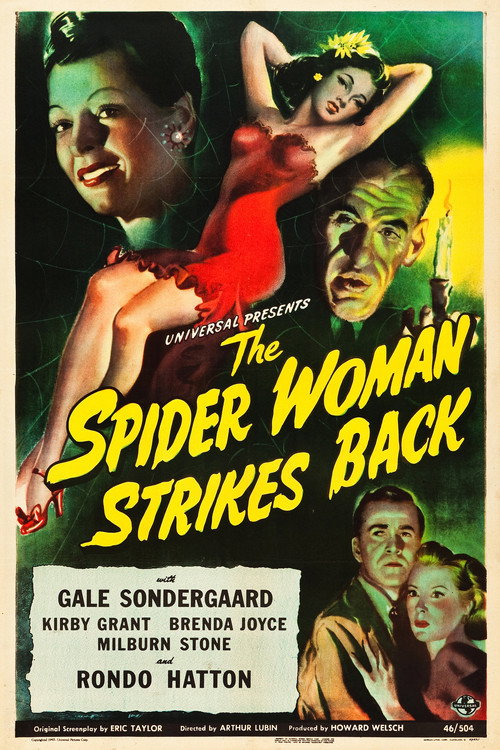 The Spider Woman Strikes Back постер