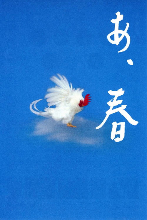 Wait and See постер