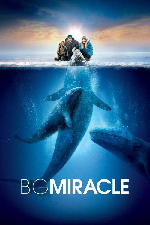 Big Miracle постер