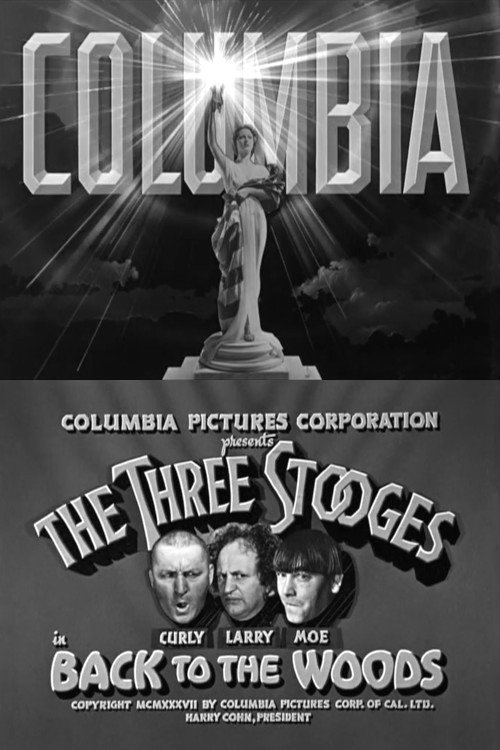 Back to the Woods постер