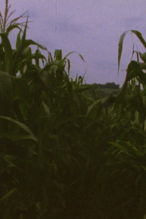 Pan 3 постер