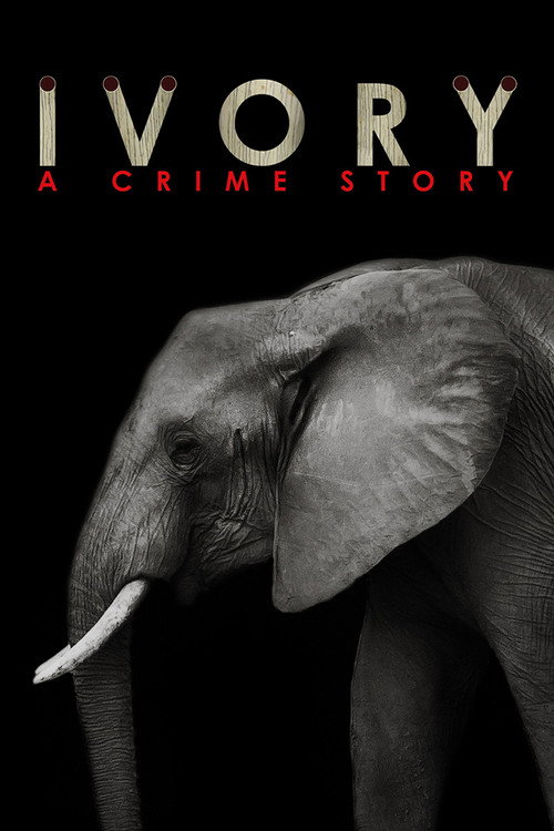 Ivory. A Crime Story постер