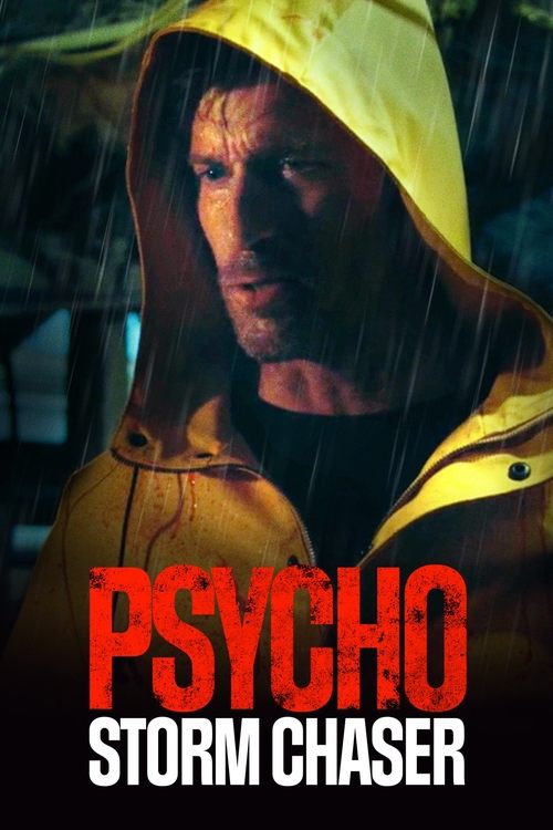 Psycho Storm Chaser постер