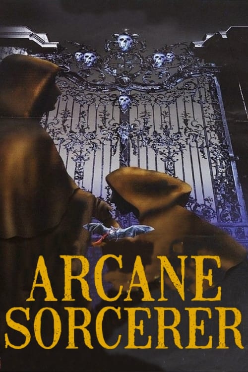 Arcane Sorcerer постер