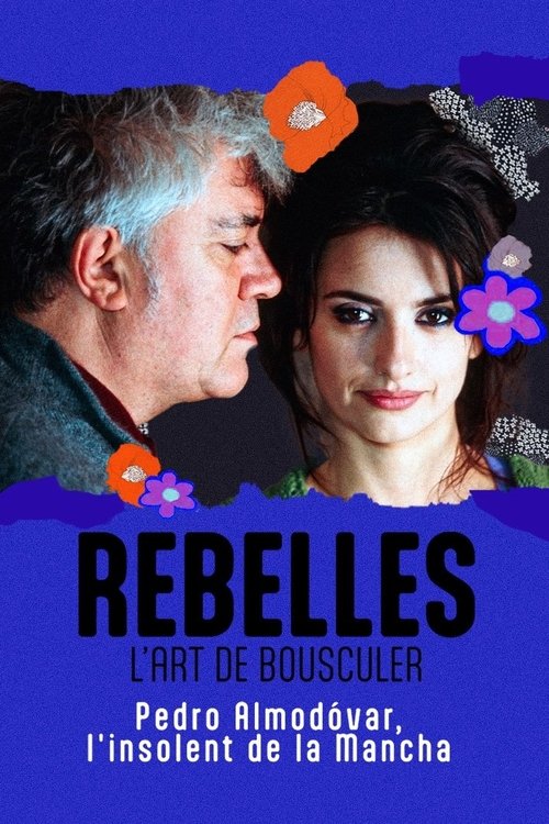 Almodóvar, l'insolent de la Mancha постер