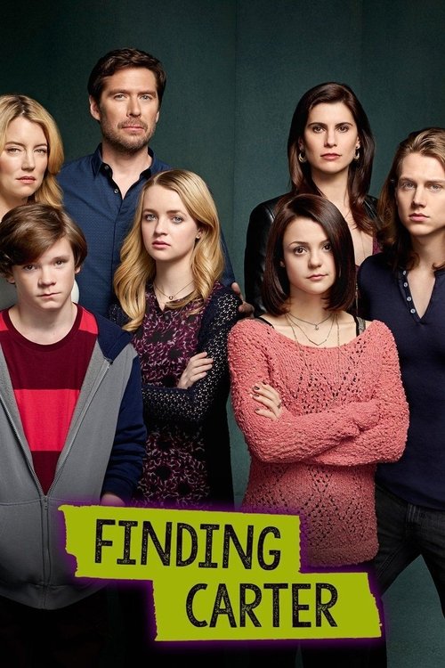 Finding Carter постер