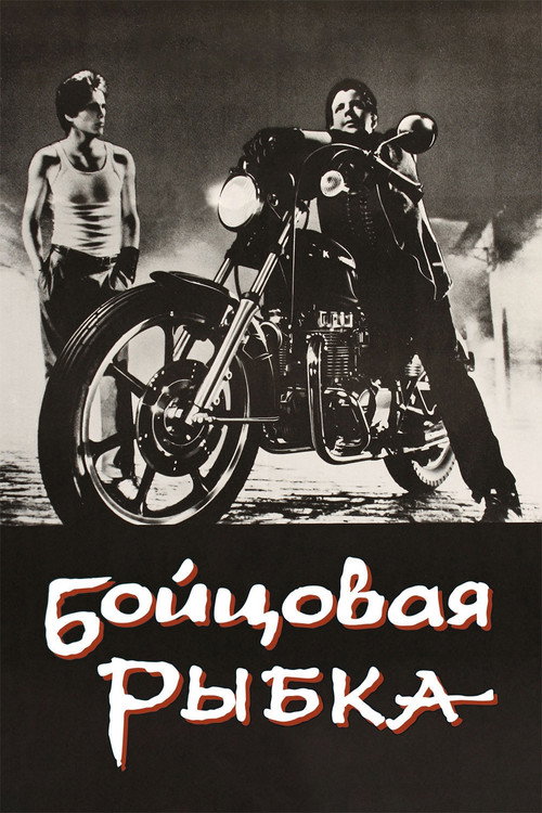 Бойцовая рыбка постер