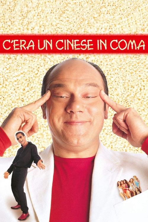 C'era un cinese in coma постер