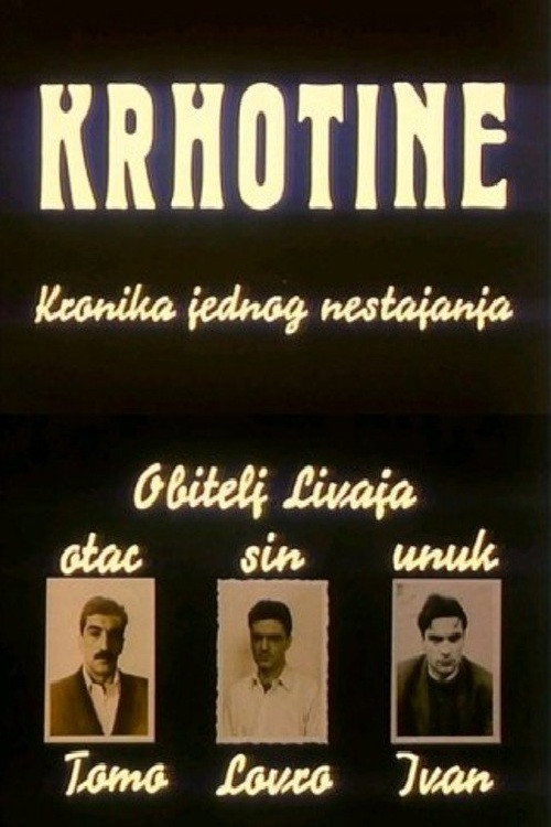 Krhotine постер