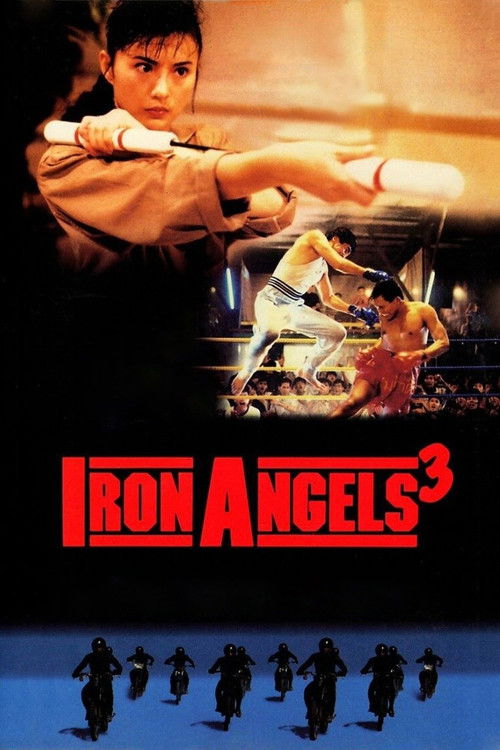 Iron Angels 3 постер