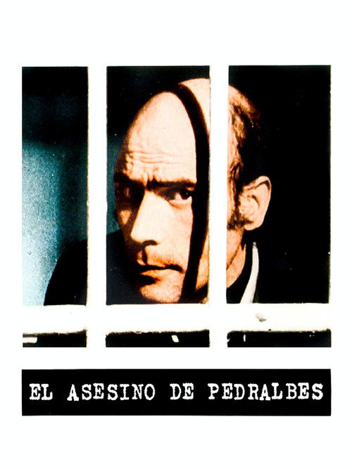 El asesino de Pedralbes постер