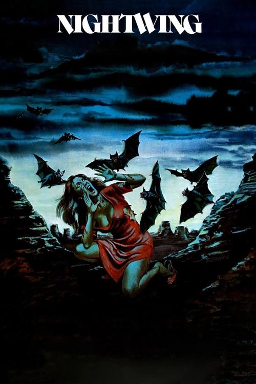 Ночное крыло постер