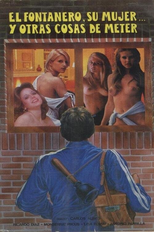 El fontanero, su mujer... y otras cosas de meter постер
