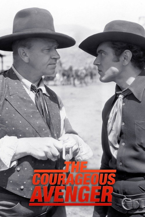 The Courageous Avenger постер