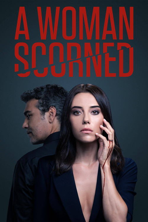 A Woman Scorned постер