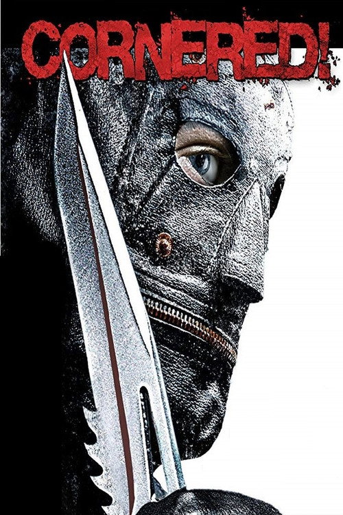 Cornered! постер