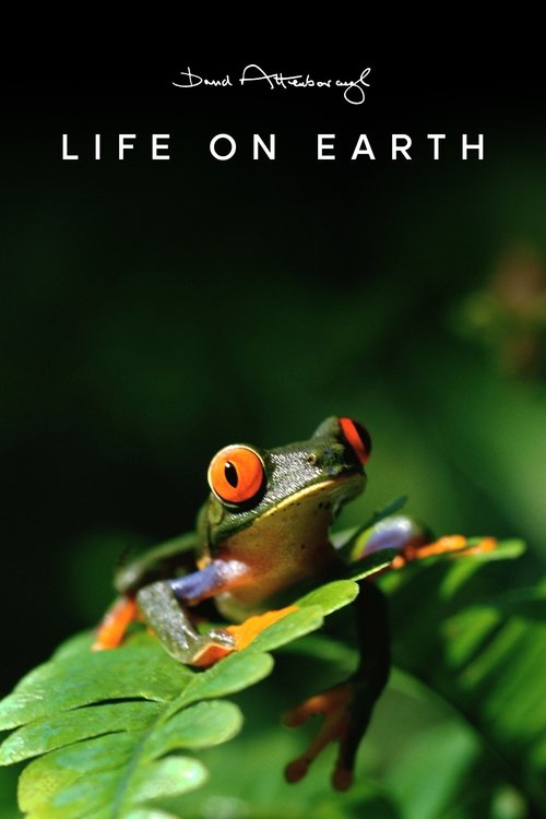 Life on Earth постер