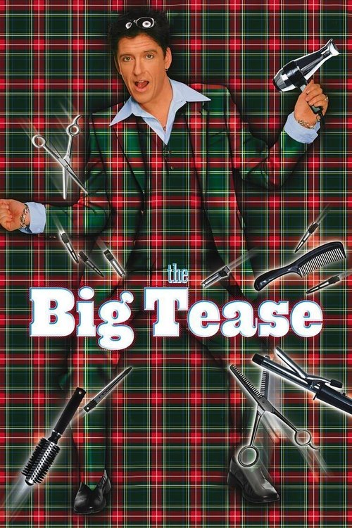 The Big Tease постер