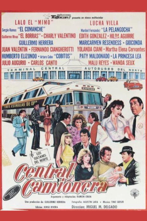 Central camionera постер