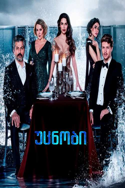 Плотина постер