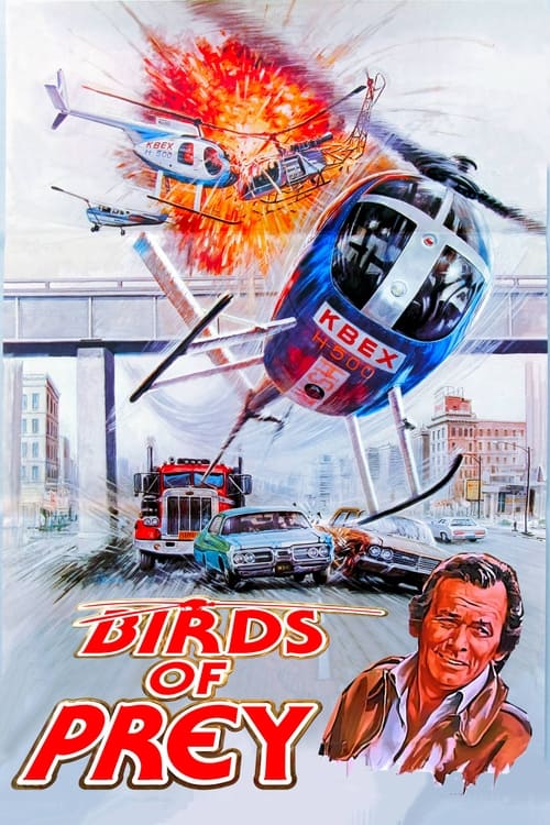 Birds of Prey постер