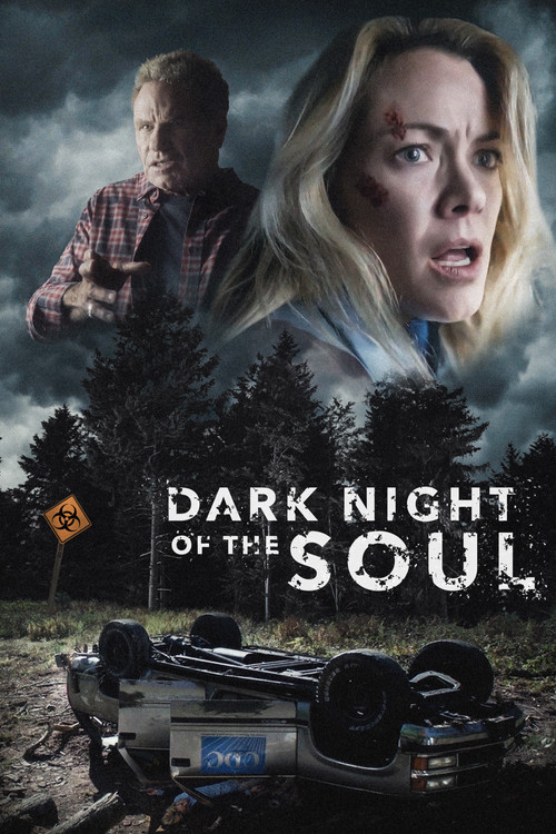 Dark Night of the Soul постер