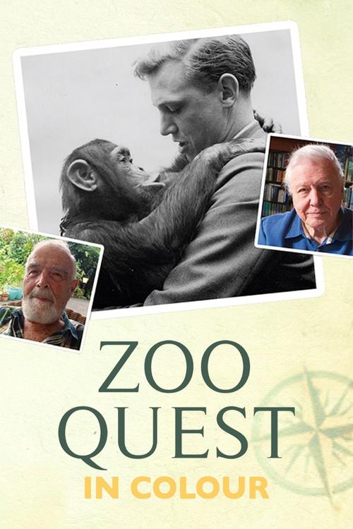 Zoo Quest in Colour постер