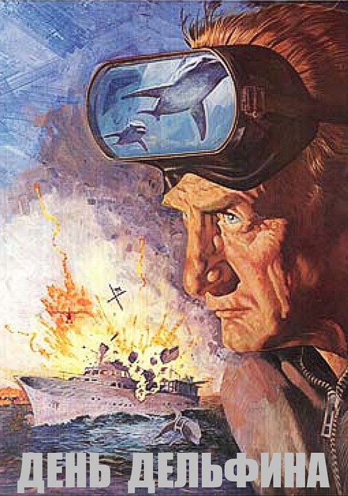 День дельфина постер