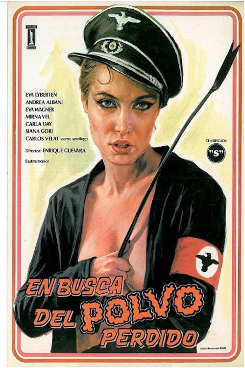En busca del polvo perdido постер