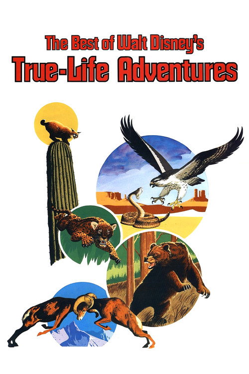 The Best of Walt Disney's True-Life Adventures постер