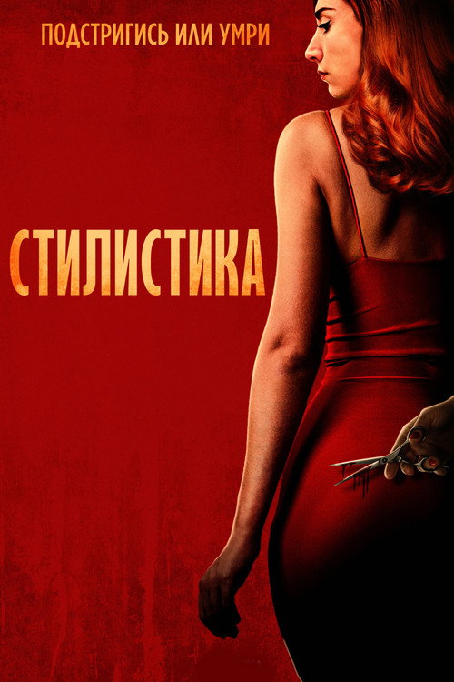 Стилист постер