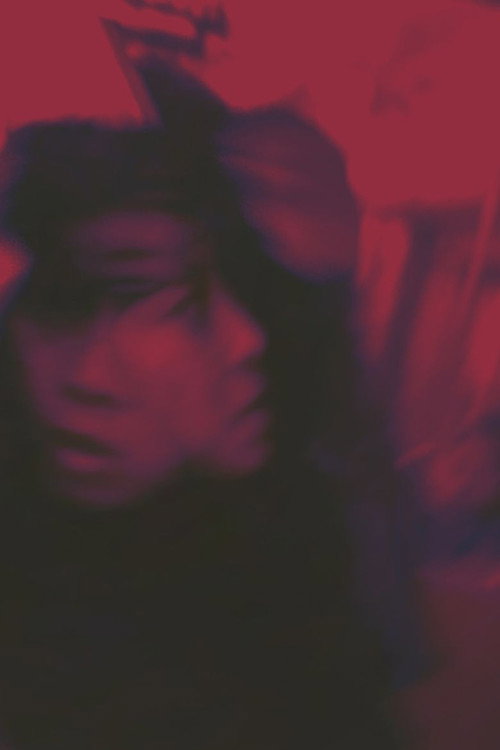 Gerorist постер