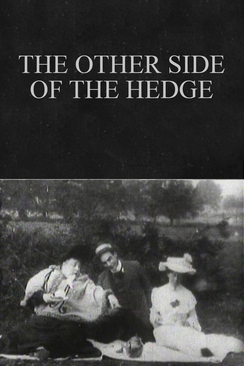 The Other Side of the Hedge постер