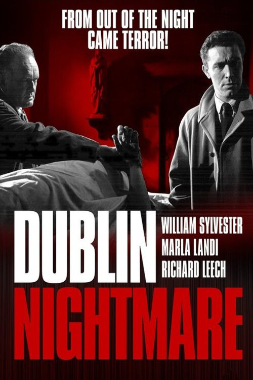 Dublin Nightmare постер