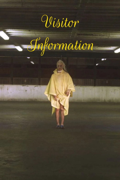 Visitor Information постер