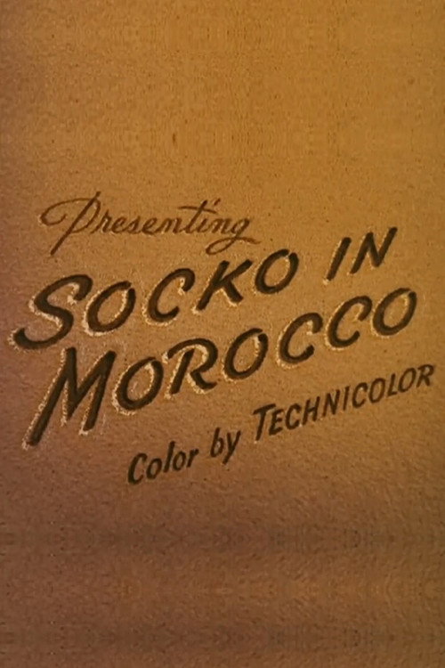 Socko in Morocco постер