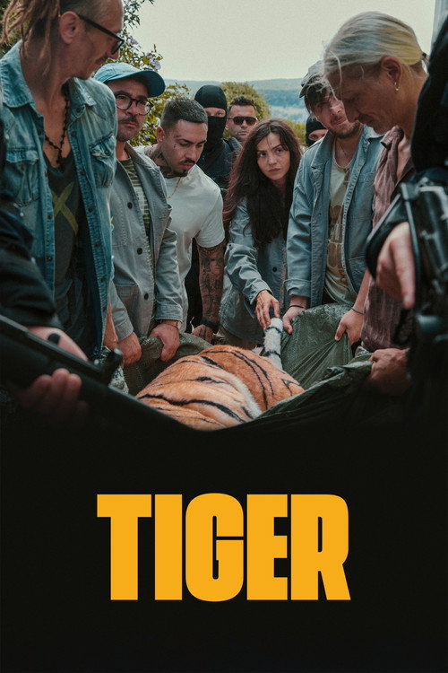 Day of the Tiger постер