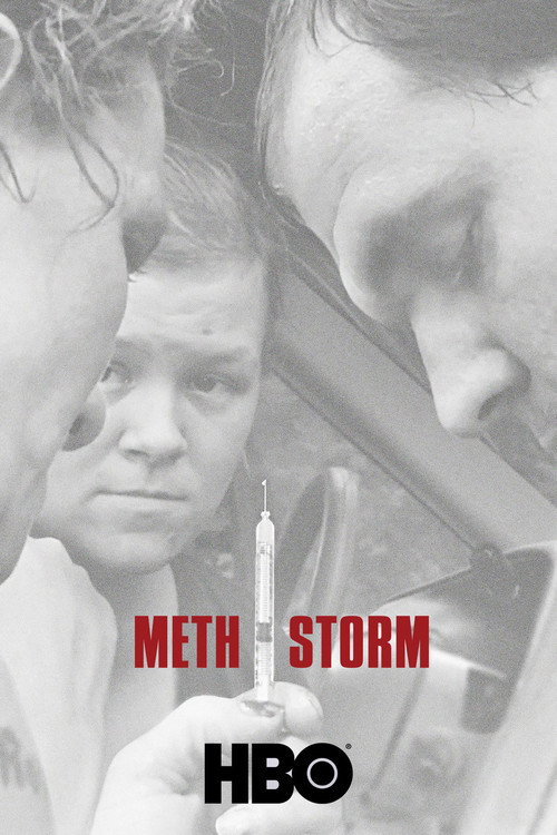 Meth Storm постер