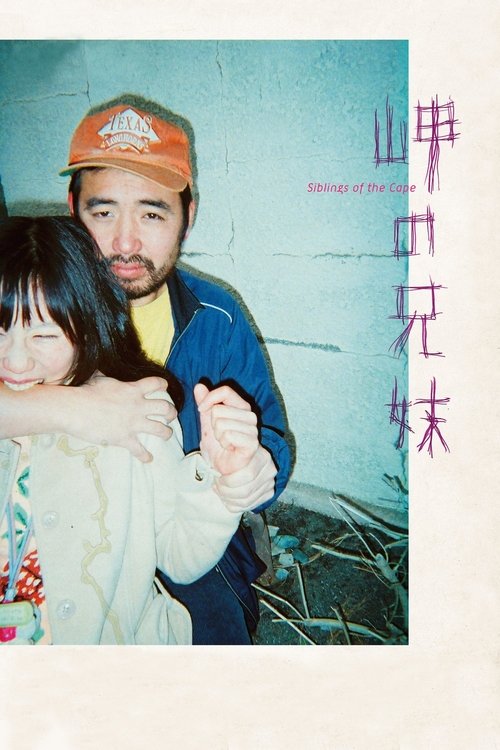 岬の兄妹 постер