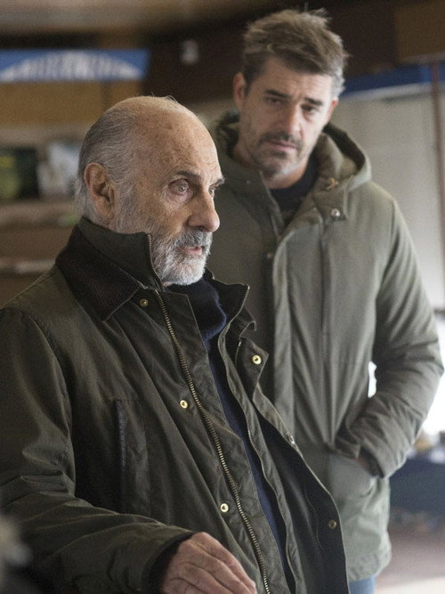 Illégitime постер