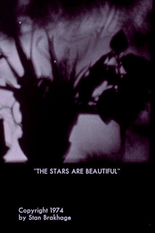 The Stars Are Beautiful постер